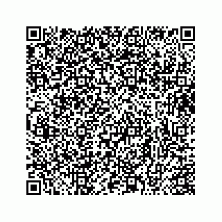 vCard 73413331811