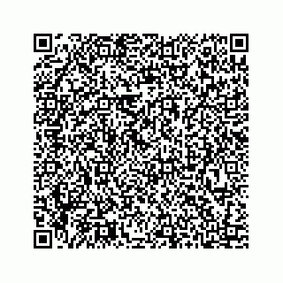 vCard 73413331817