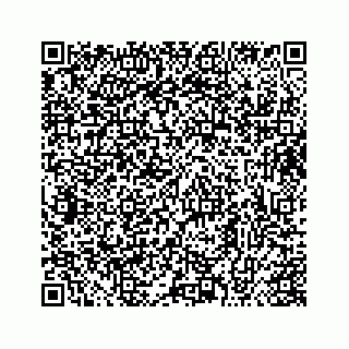 vCard 73413331889