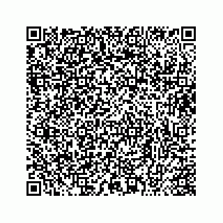 vCard 73413331894