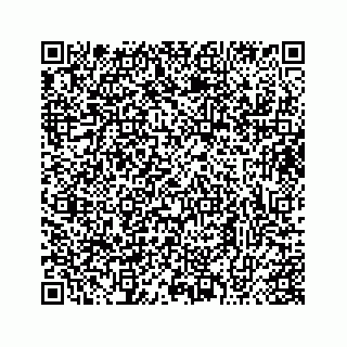 vCard 73413331895