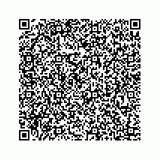 vCard 73413331904