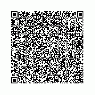 vCard 73413331909