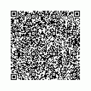 vCard 73413331929