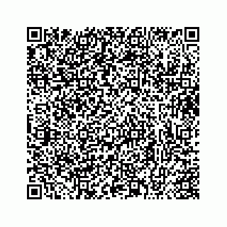vCard 73413331931