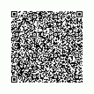 vCard 73413331977