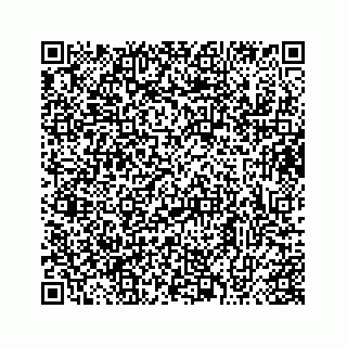 vCard 73413331982