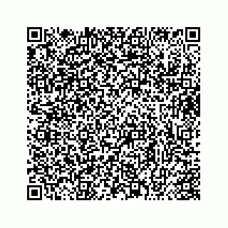 vCard 73413331987