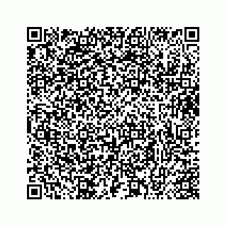 vCard 73413331991