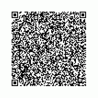 vCard 73413331993