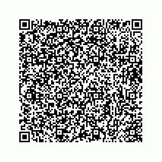 vCard 73413331999