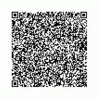 vCard 73413332001