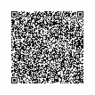 vCard 73413332002