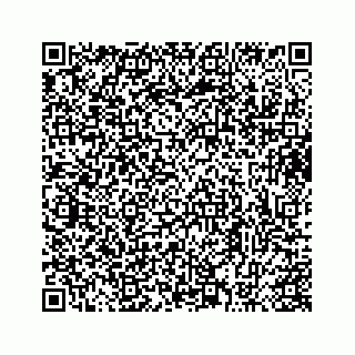 vCard 73413332003