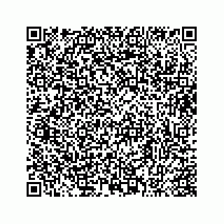 vCard 73413332004