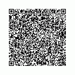 vCard 73413332005
