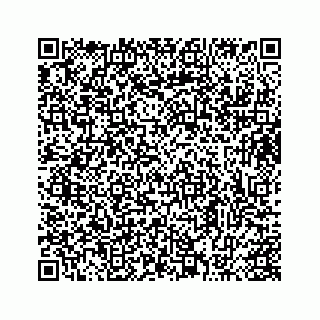 vCard 73413332007