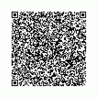 vCard 73413332008
