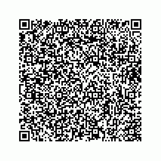 vCard 73413332009