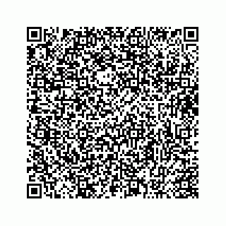 vCard 73413332010