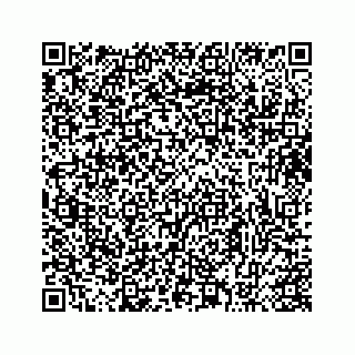 vCard 73413332011