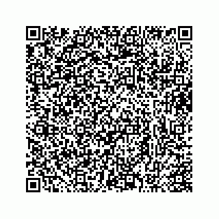vCard 73413332032