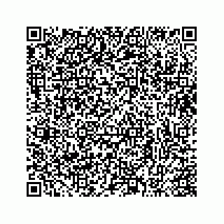 vCard 73413332038