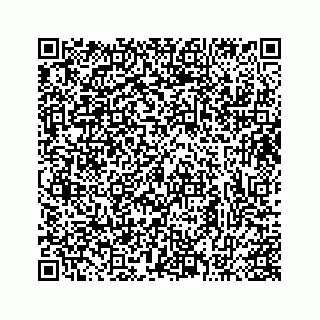vCard 73413332039