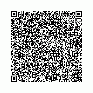 vCard 73413332045