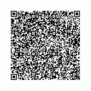 vCard 73413332049
