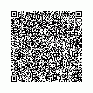 vCard 73413332050
