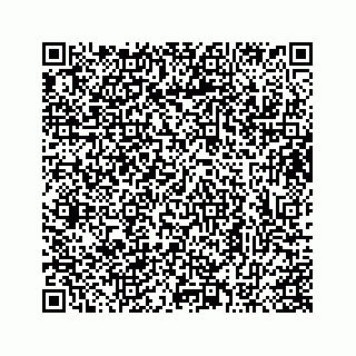 vCard 73413332066