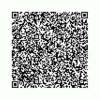 vCard 73413332078
