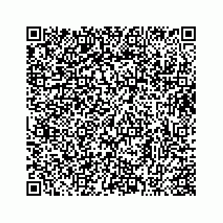 vCard 73413332089