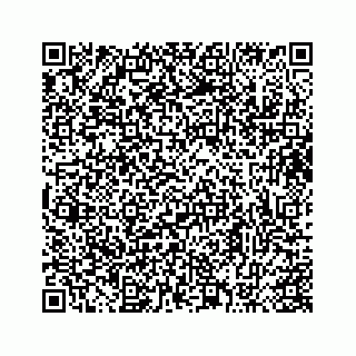 vCard 73413332111