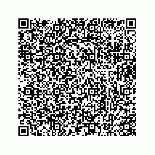 vCard 73413332137