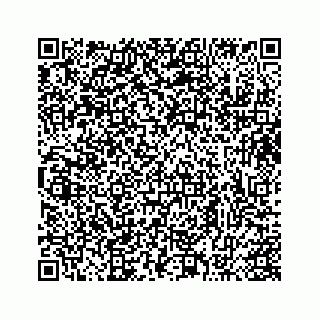 vCard 73413332181