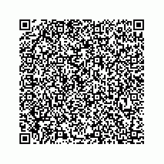 vCard 73413332197