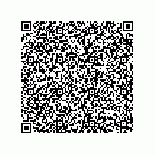vCard 73513282481