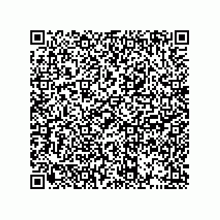 vCard 73513282500