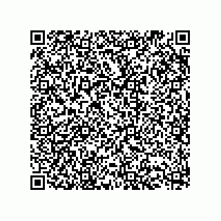 vCard 73513282539