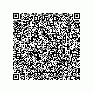 vCard 73513282689
