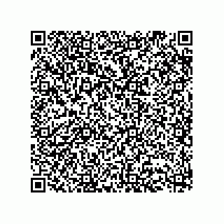 vCard 73513282703