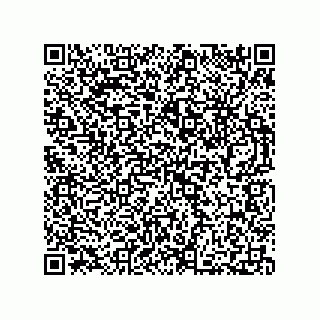 vCard 73812100300