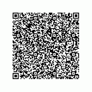 vCard 73812100321