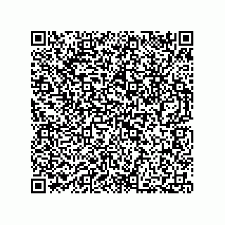 vCard 73812100335