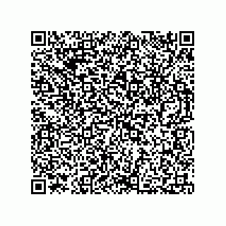 vCard 73812100379