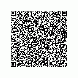 vCard 73812100394