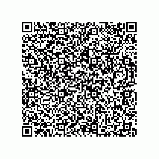 vCard 73812207004