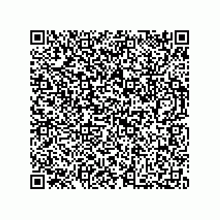 vCard 73812207334